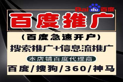 专业SEM托管服务，效果显著的案例展示